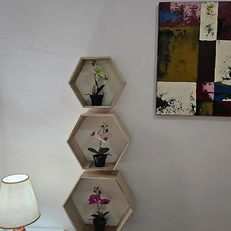 Anita's